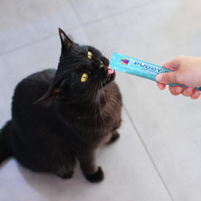 Weruva - Puddy Pops! Chicken & Pumpkin Cat Treats 5 Pack