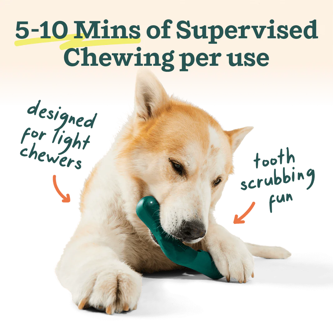 Woof Pet - Bite N' Brush V-Shaped