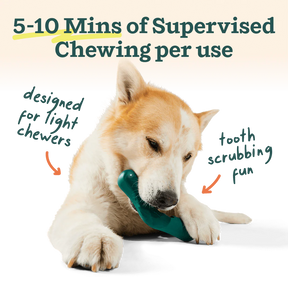 Woof Pet - Bite N' Brush V-Shaped