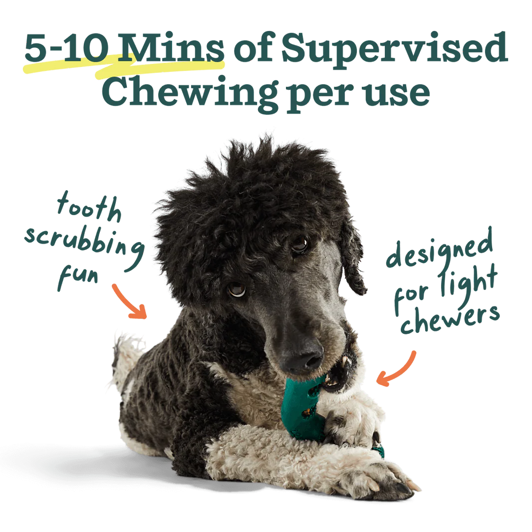 Woof Pet - Bite N' Brush Refills