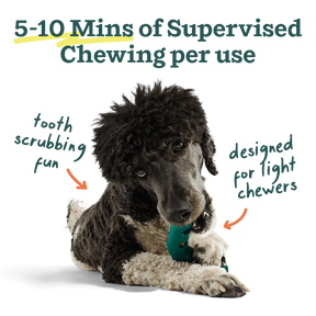 Woof Pet - Bite N' Brush Refills