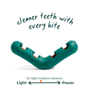 Woof Pet - Bite N' Brush V-Shaped