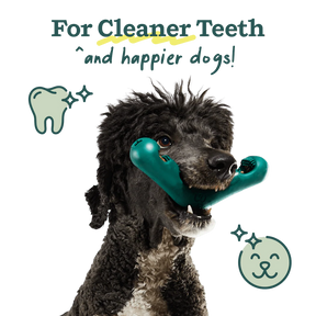 Woof Pet - Bite N' Brush V-Shaped