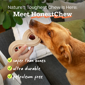 Woof Pet - Honest Chew Infinity Bone