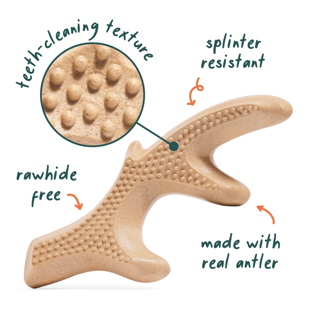 Woof Pet - Honest Chew Infinity Bone