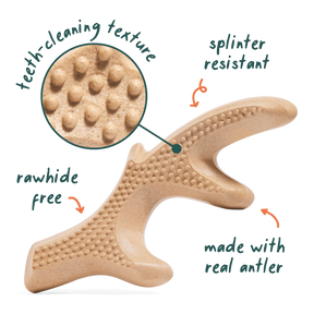 Woof Pet - Honest Chew Infinity Bone