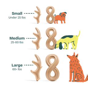 Woof Pet - Honest Chew Infinity Bone