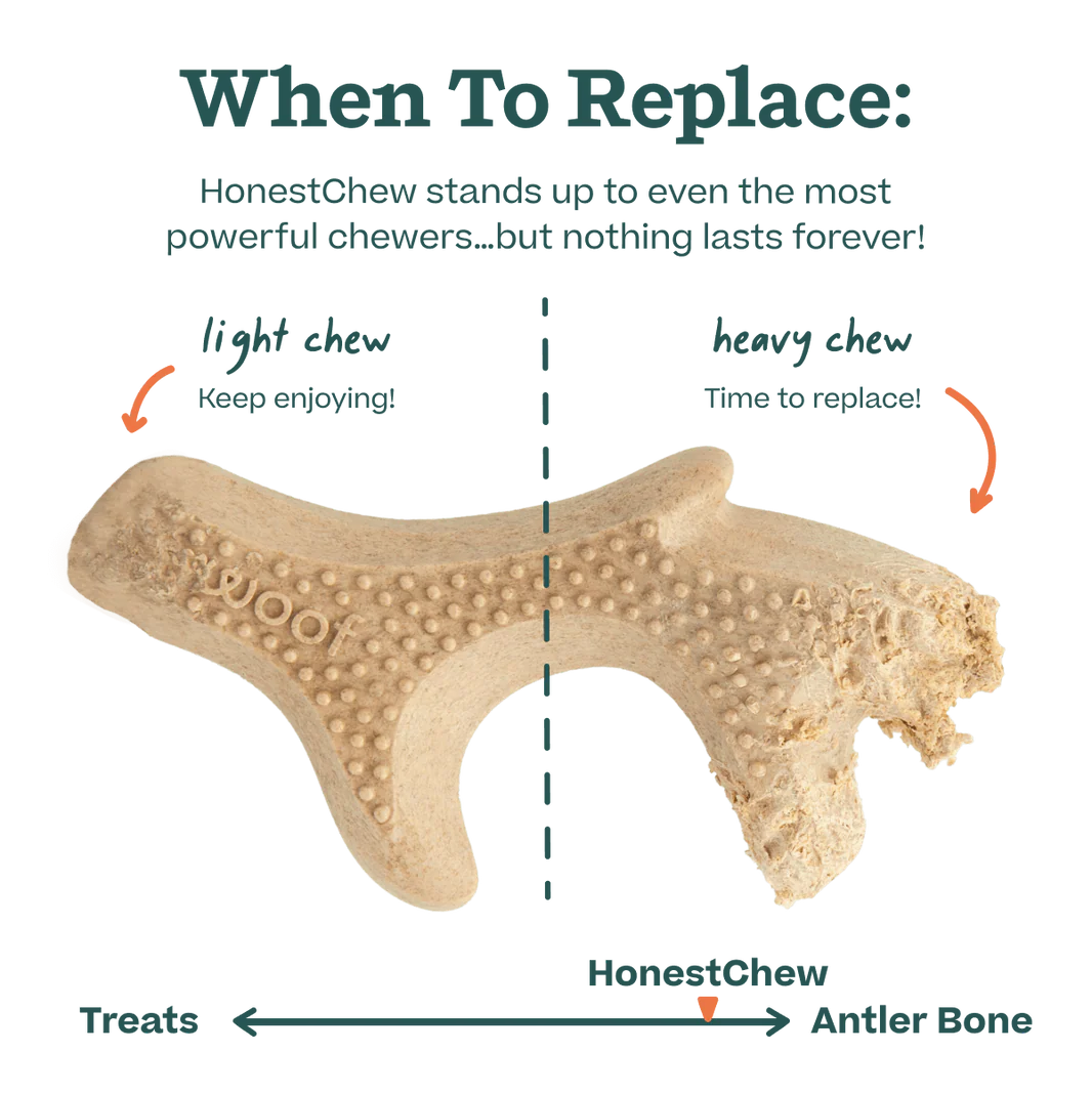Woof Pet - Honest Chew Infinity Bone