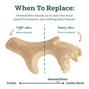 Woof Pet - Honest Chew Infinity Bone