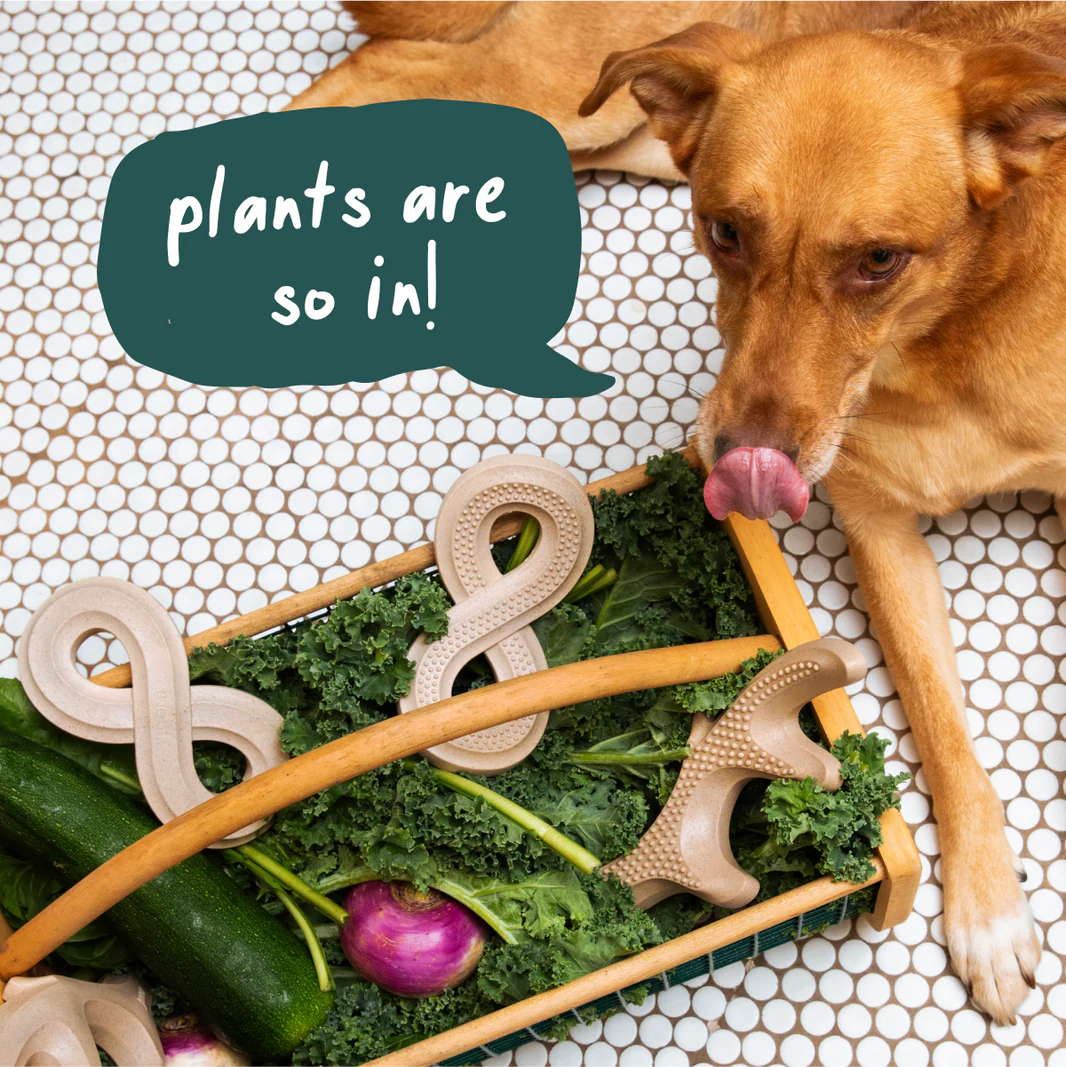 Woof Pet - Honest Chew Infinity Bone