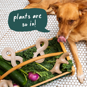 Woof Pet - Honest Chew Infinity Bone