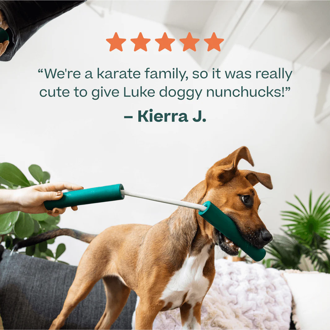 Woof Pet - Nomchucks - Rubber Treat Dispenser