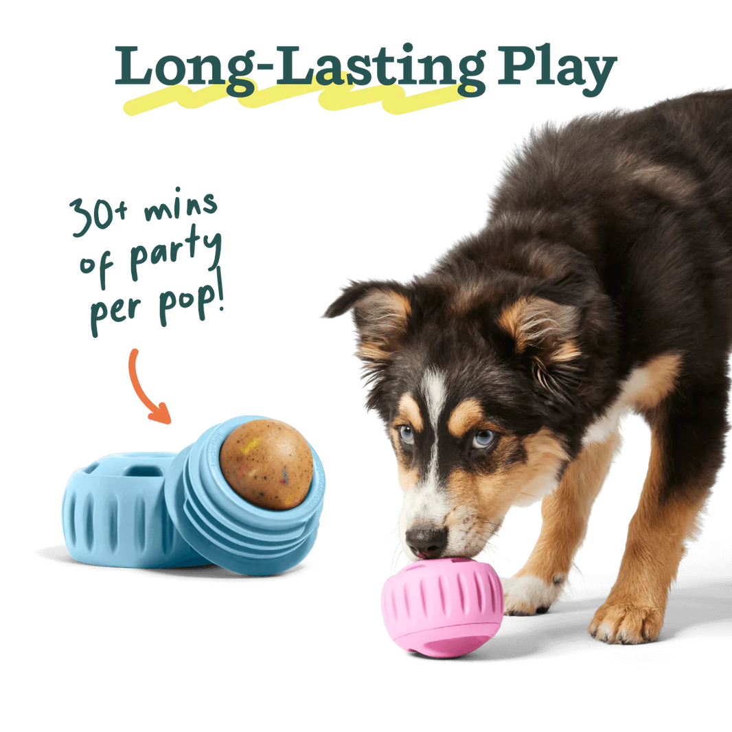 Woof Pet - Pupsicle Refill Pops Birthday