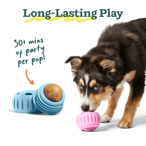 Woof Pet - Pupsicle Refill Pops Birthday