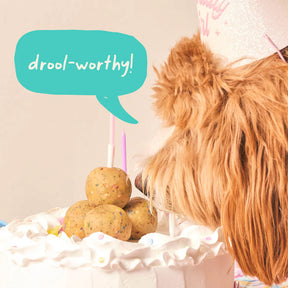 Woof Pet - Pupsicle Refill Pops Birthday