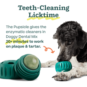 Woof Pet - Pupsicle Treat Mix Doggy Dental - Southern Agriculture 