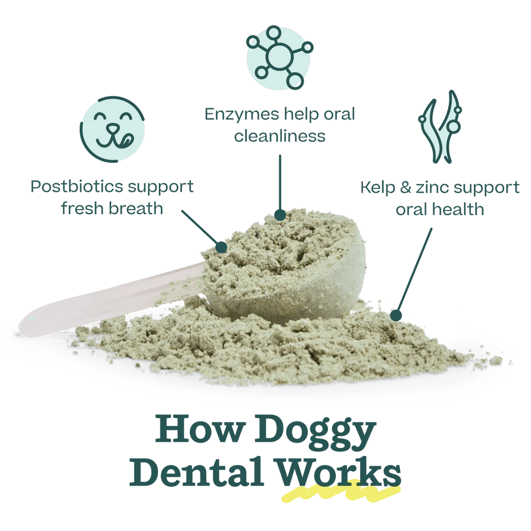 Woof Pet - Pupsicle Treat Mix Doggy Dental - Southern Agriculture 