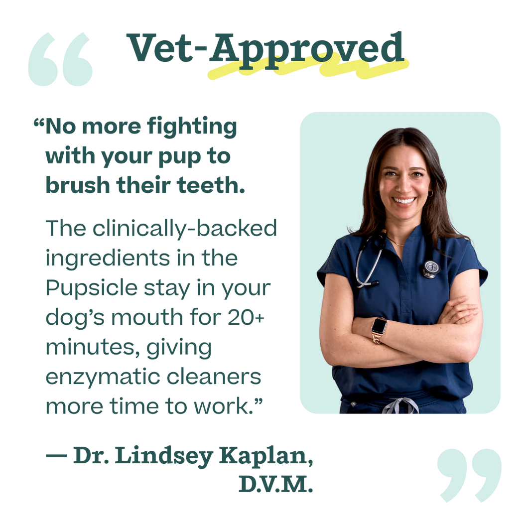 Woof Pet - Pupsicle Treat Mix Doggy Dental - Southern Agriculture 