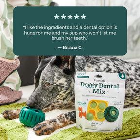 Woof Pet - Pupsicle Treat Mix Doggy Dental - Southern Agriculture 