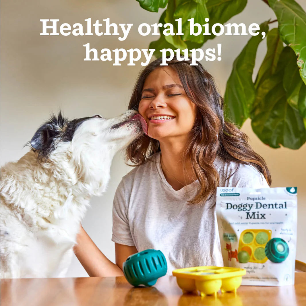 Woof Pet - Pupsicle Treat Mix Doggy Dental - Southern Agriculture 