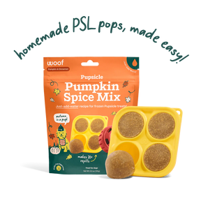 Woof Pet - Pupsicle Treat Mix Pumpkin