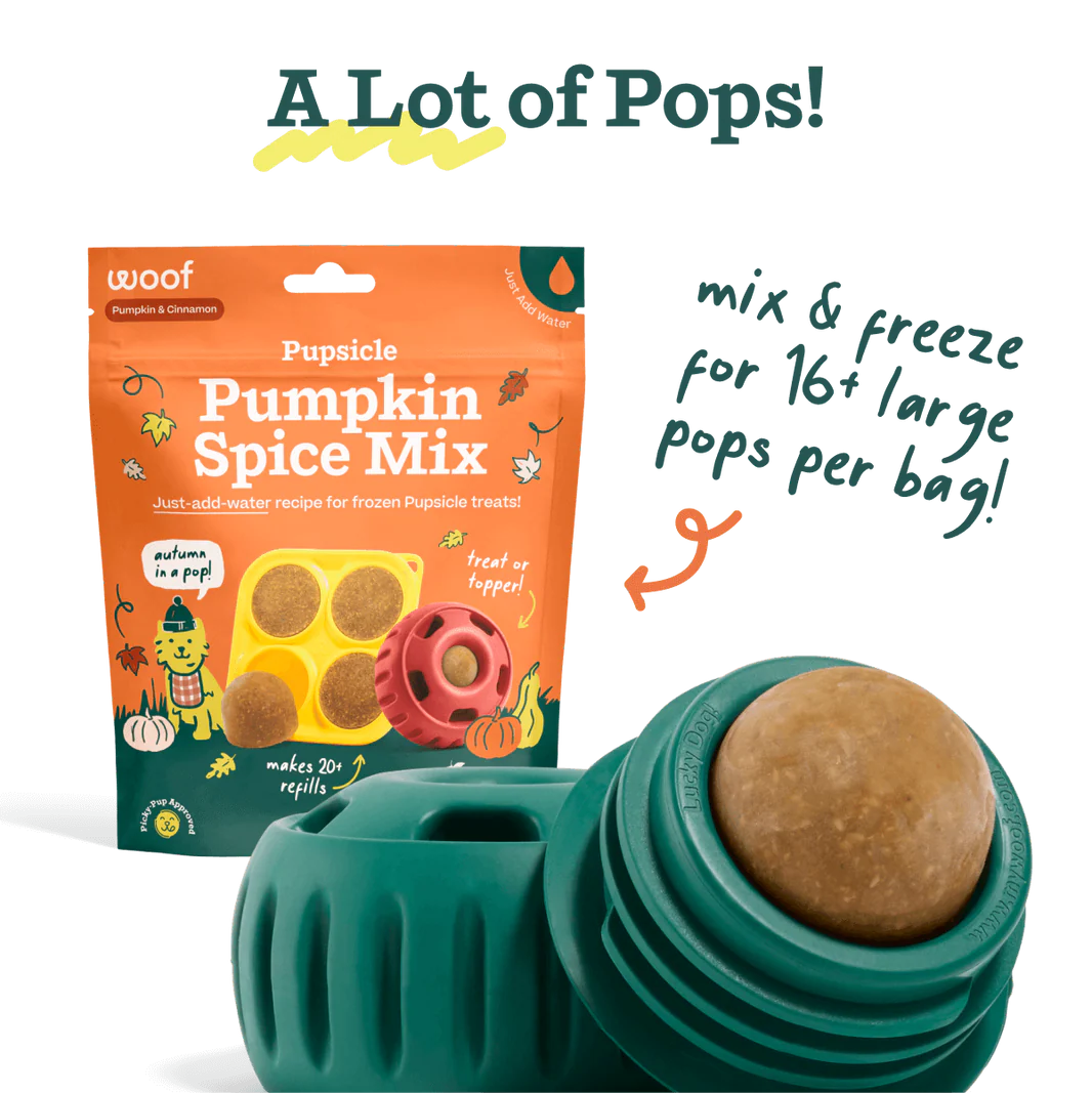 Woof Pet - Pupsicle Treat Mix Pumpkin