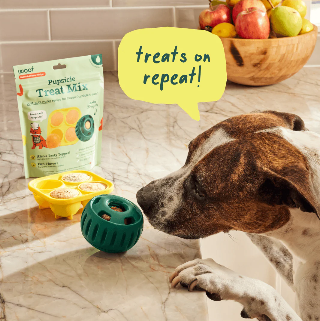 Woof Pet - Pupsicle Treat Mix Pumpkin