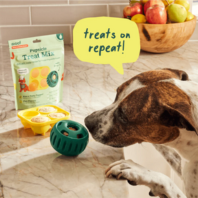 Woof Pet - Pupsicle Treat Mix Pumpkin
