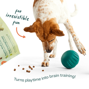 Woof Puzzle Treats - Sized For Woof Puzzle Toys - Southern Agriculture 