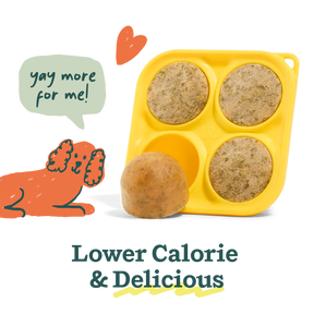 Woof Pet - Pupsicle Treat Mix Bacon & Cheese