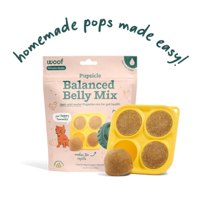 Woof Pet - Pupsicle Treat Mix Balanced Belly