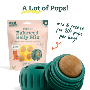 Woof Pet - Pupsicle Treat Mix Balanced Belly