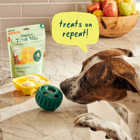 Woof Pet - Pupsicle Treat Mix Balanced Belly