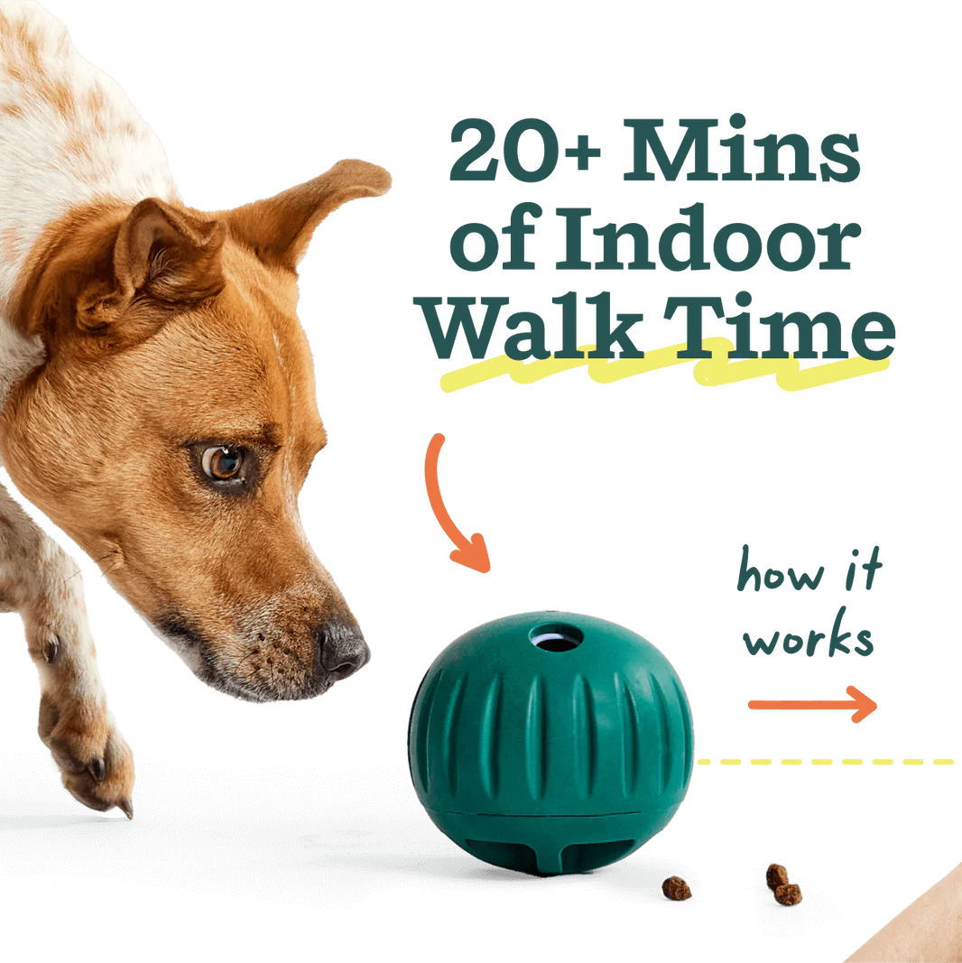 Woof Pet - Walkabout Rolling Treat Ball