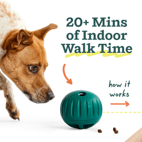 Woof Pet - Walkabout Rolling Treat Ball