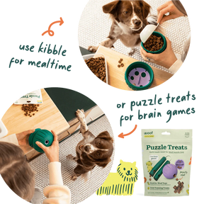 Woof Pet - Walkabout Rolling Treat Ball