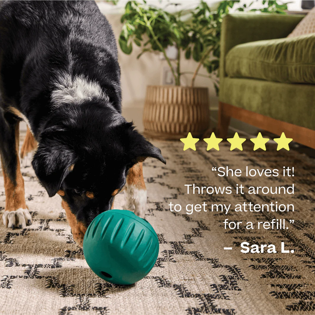 Woof Pet - Walkabout Rolling Treat Ball