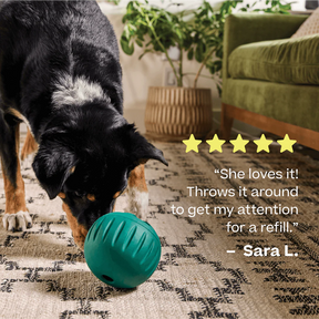 Woof Pet - Walkabout Rolling Treat Ball