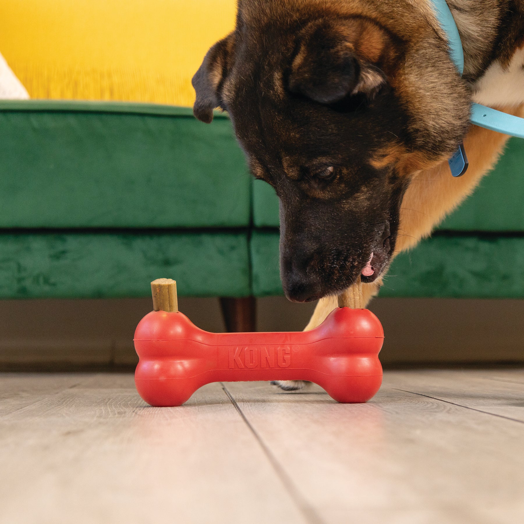 KONG - Enhanced Ziggies Adult