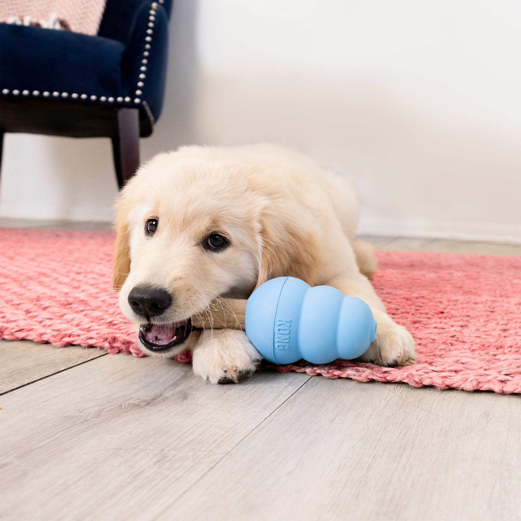 KONG - Enhanced Ziggies Puppy