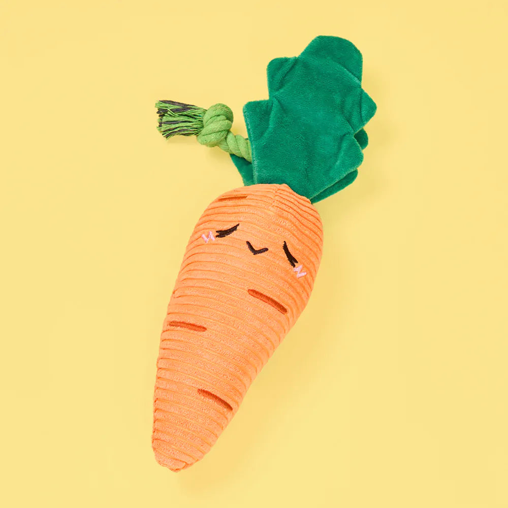 Crinkle Crops Carrot Dog Toy