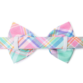 Dog Bow Tie Blooming Plaid Spring Easter