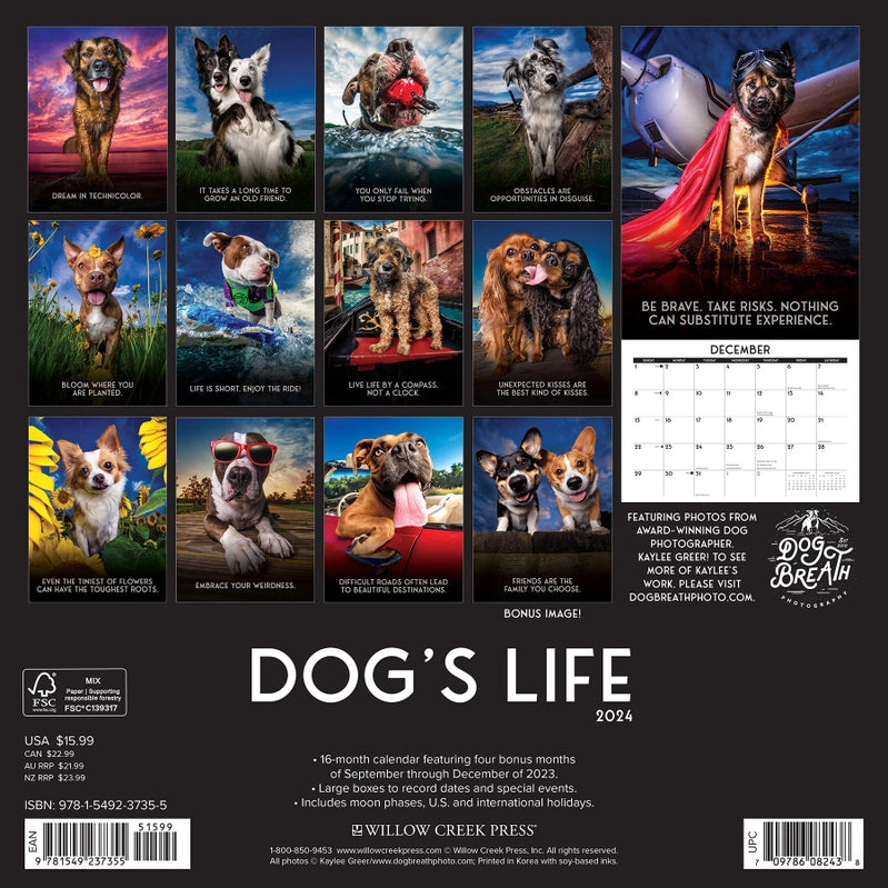2024 Dog's Life Calendar