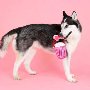 Petshop by Fringe Studio - Dog Toy My Heart Pops