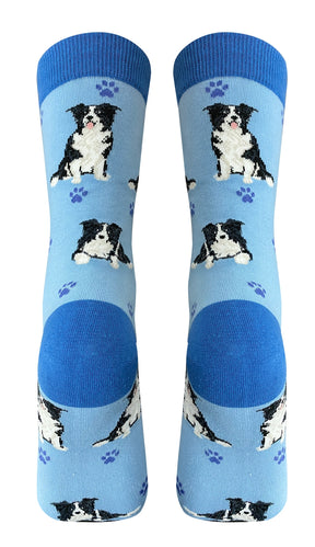 Socks Border Collie Full Body