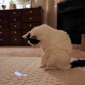 Coastal - LED Pointer Mouse Light