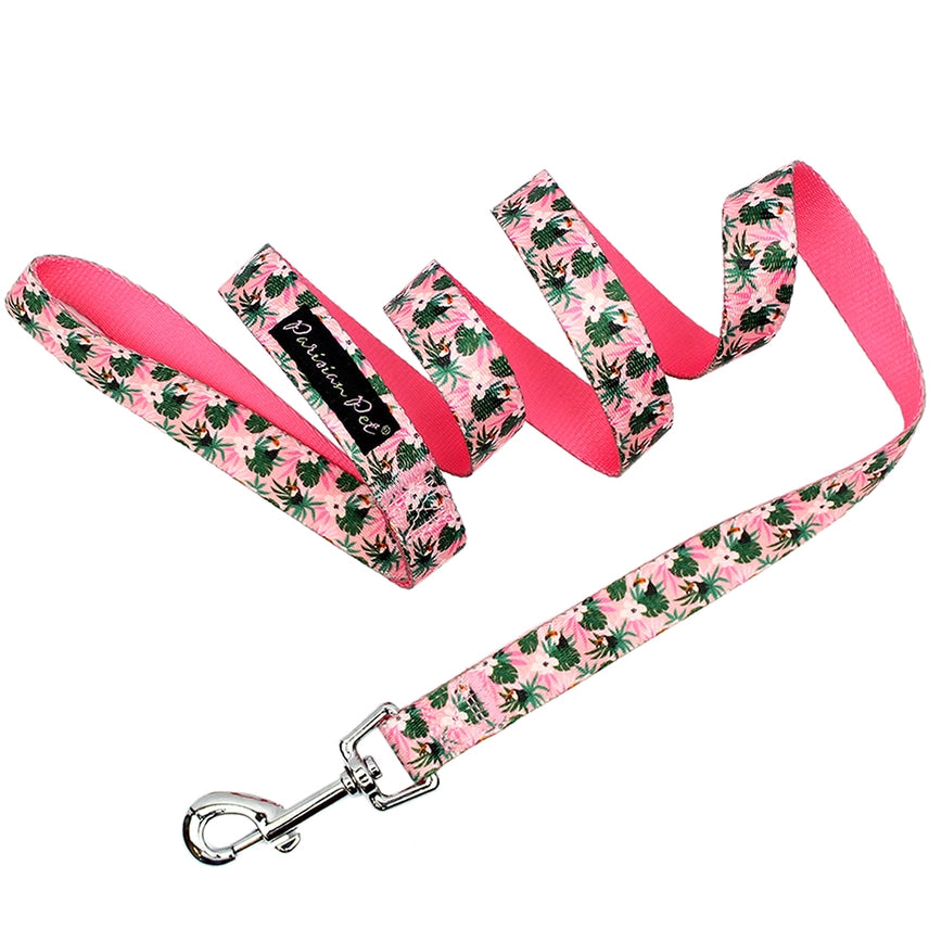 Tropical Toucan Dog Leash