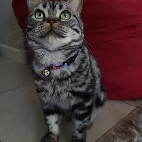 Cat Collar Chirimen Sakura