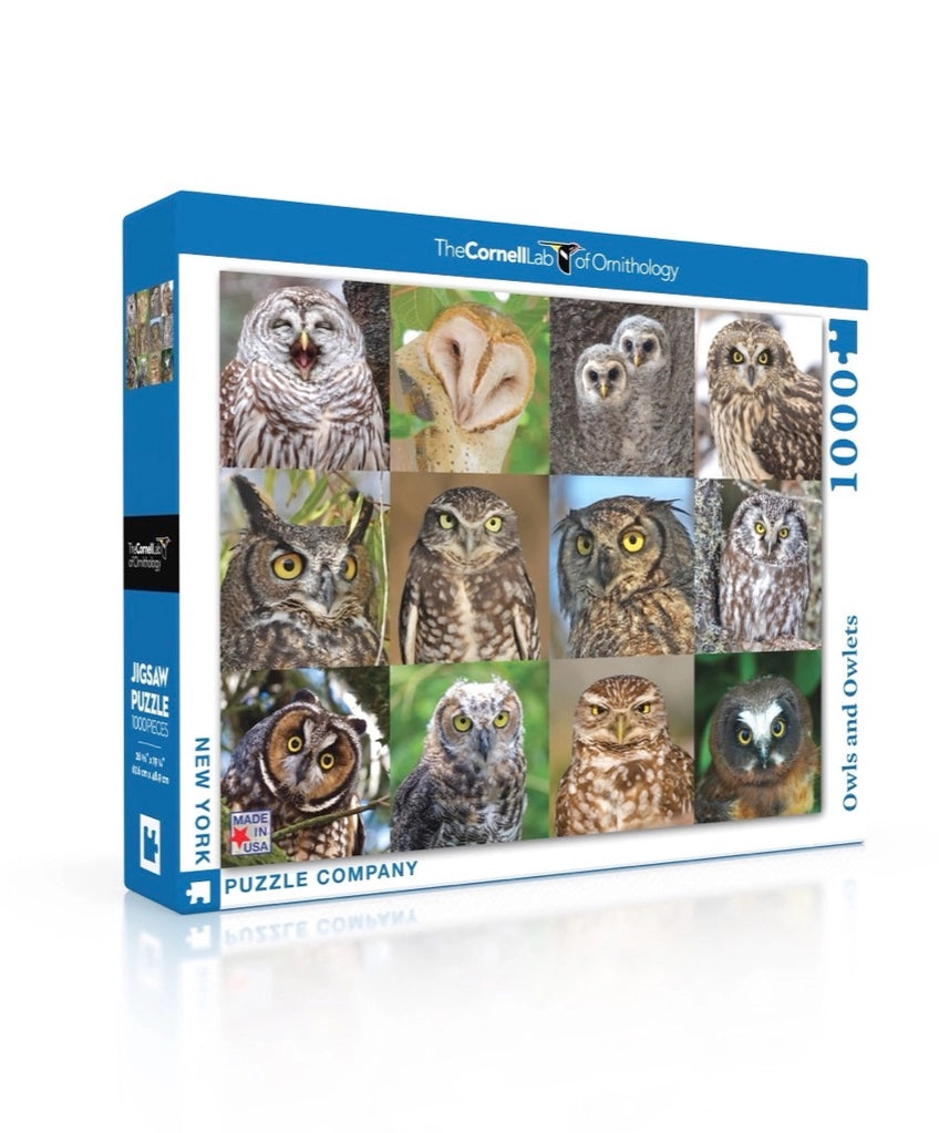 New York Puzzle Co. - Owls and Owlets