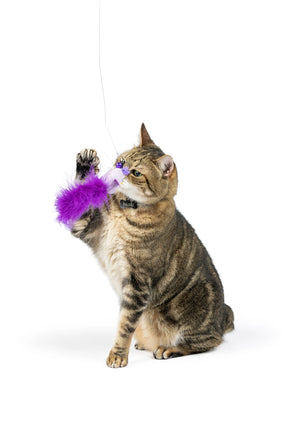 Huxley & Kent - Cat Toy Birdy Feather Teaser